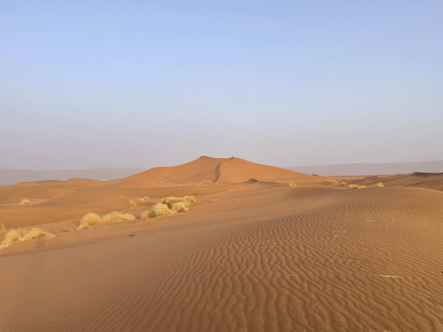 Dunes du Sahara