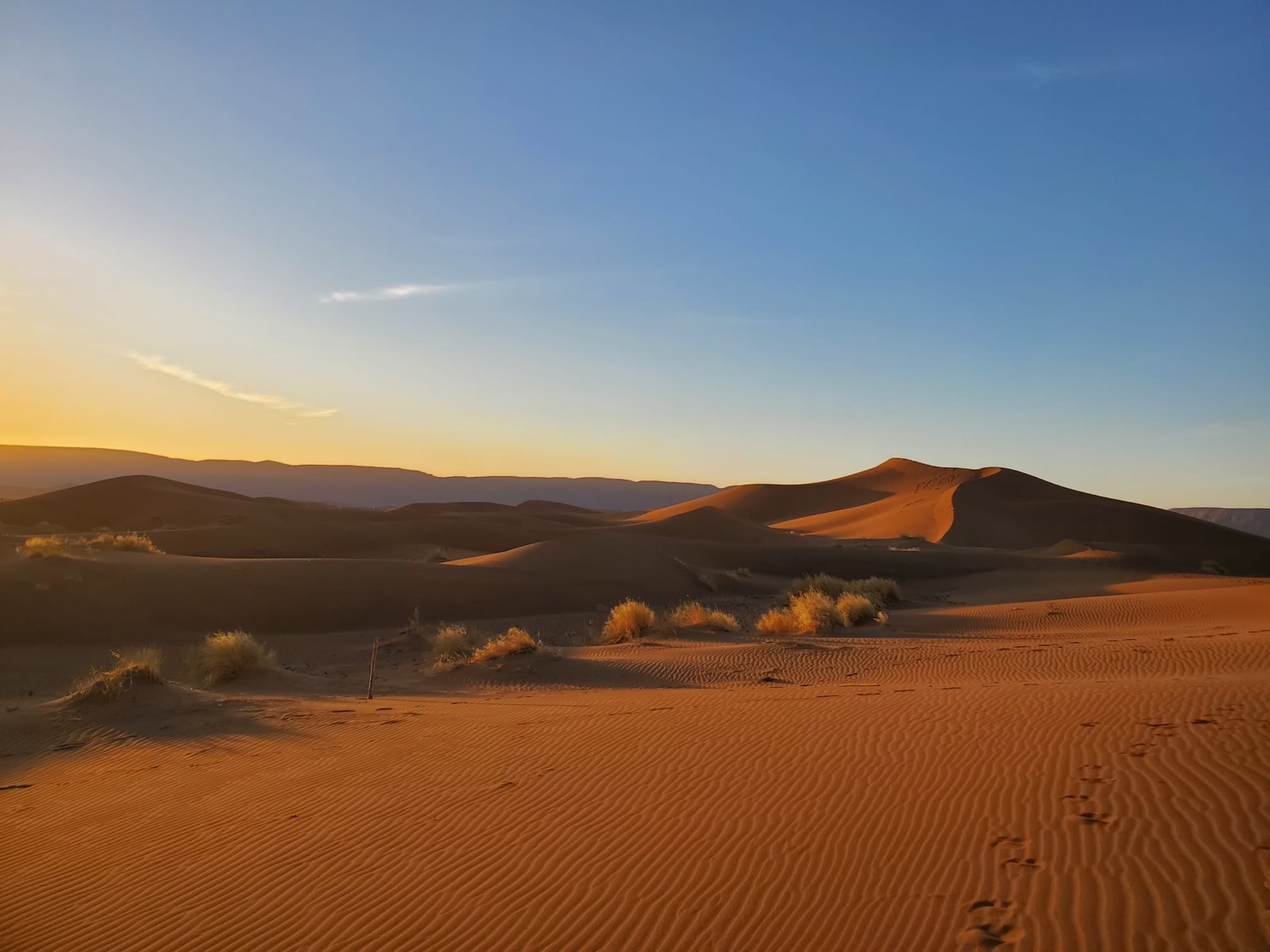 Dunes au lever du soleil
